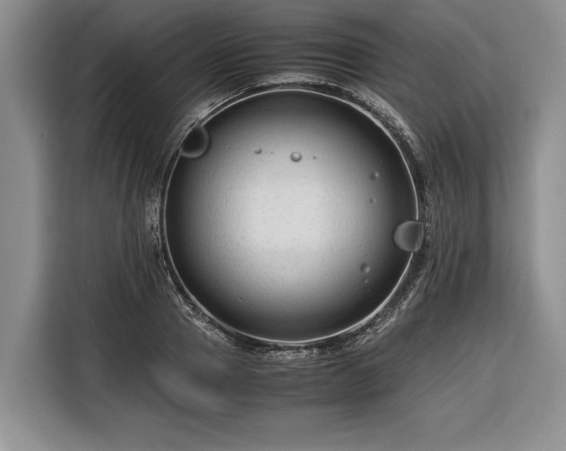 X0000116370937200912091235