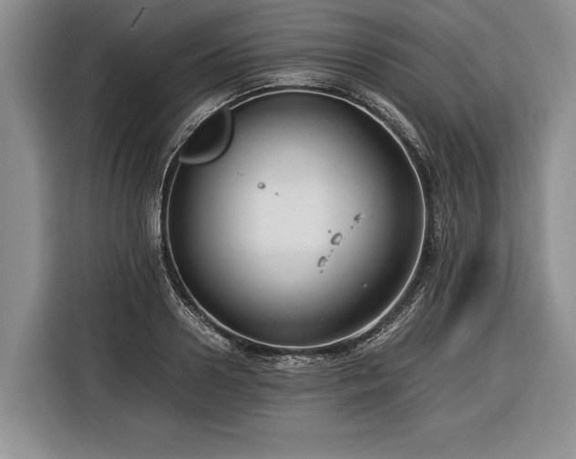 X0000116370938200912091235