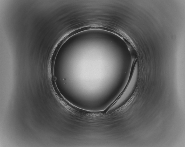 X0000116370939200912091235