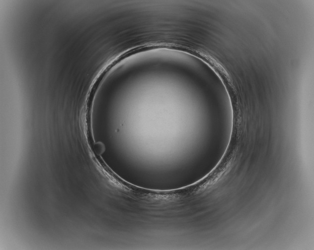 X0000116370941200912091235