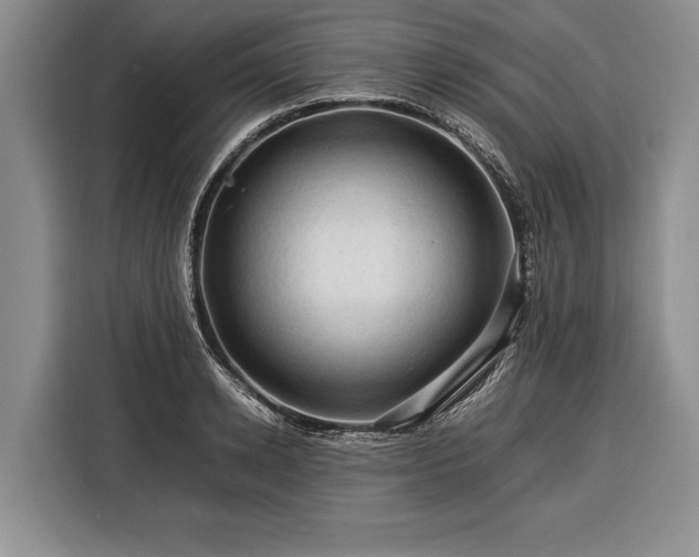 X0000116370942200912091235