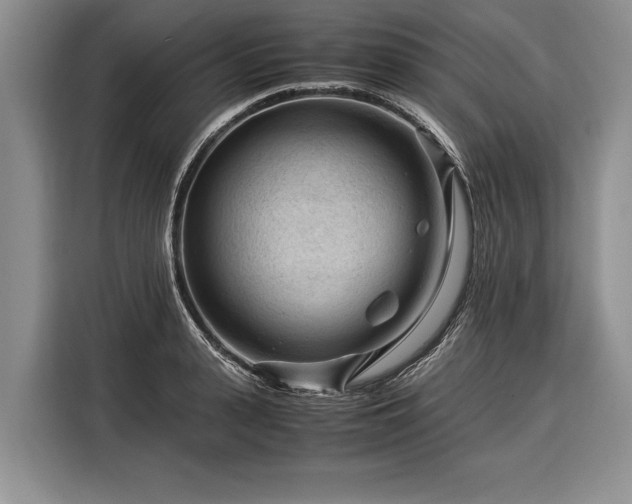 X0000116370943200912091235