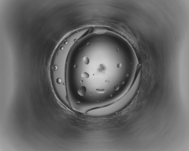 X0000116370950200912091235