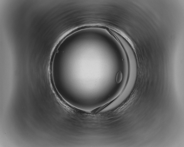 X0000116370951200912091235