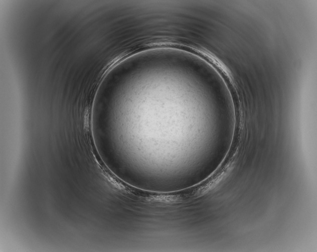 X0000116370953200912091235