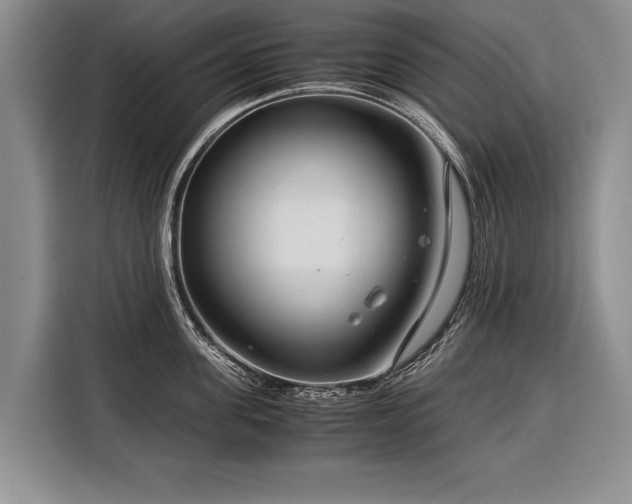 X0000116370955200912091235