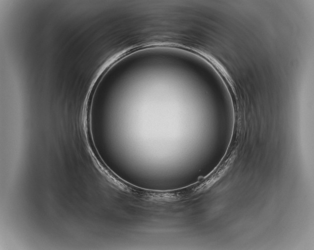 X0000116370957200912091235