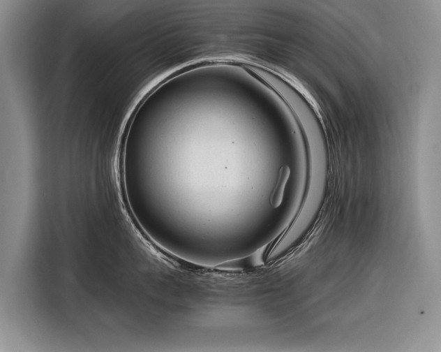 X0000116370959200912091235