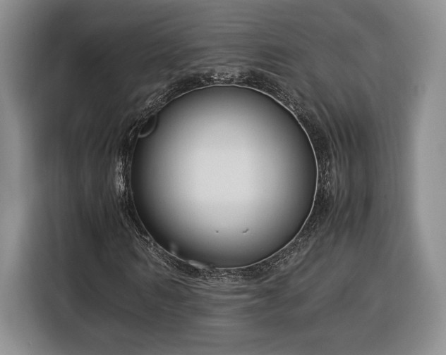 X0000116370962200912091234