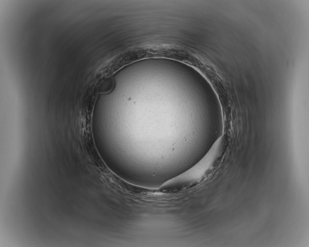 X0000116370966200912091234