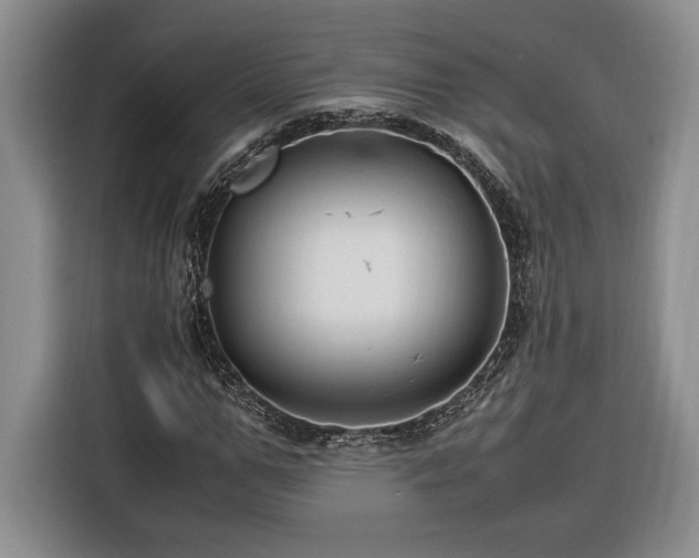 X0000116370967200912091234