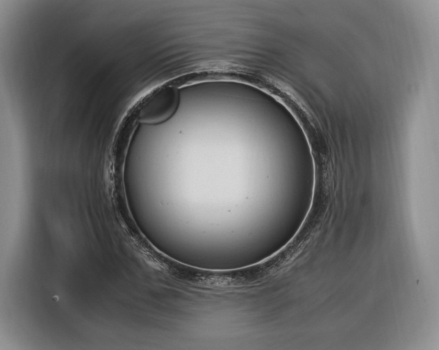 X0000116370971200912091234