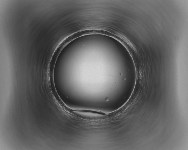 X0000116370972200912091234