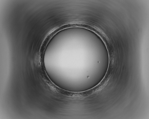 X0000116370974200912091234