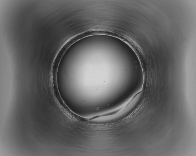 X0000116370976200912091234