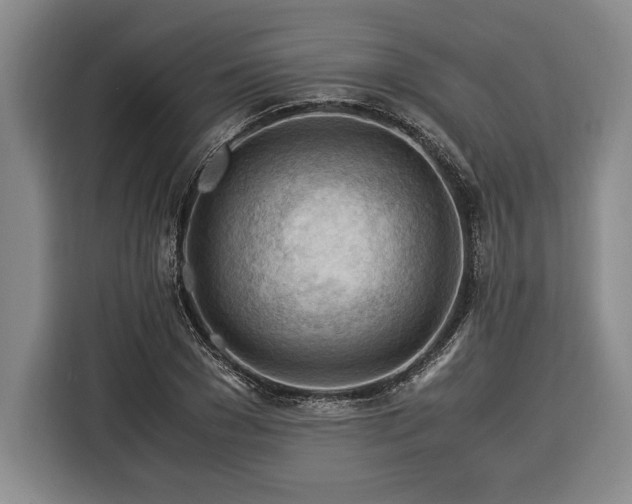 X0000116370977200912091234