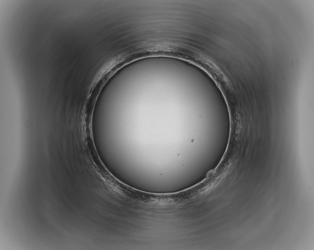 X0000116370978200912091234