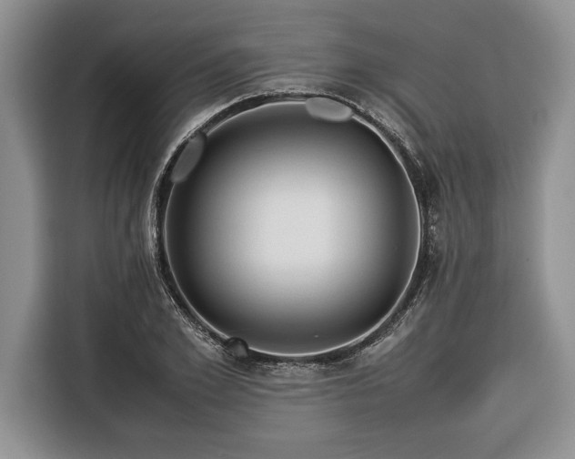 X0000116370981200912091234