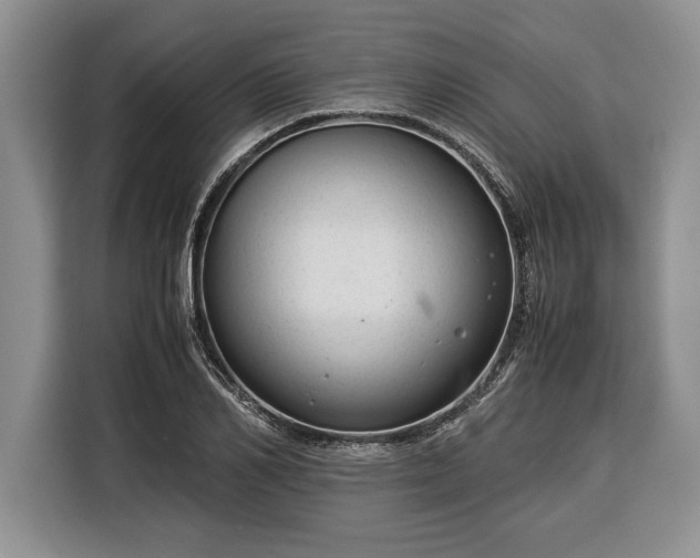 X0000116370982200912091234