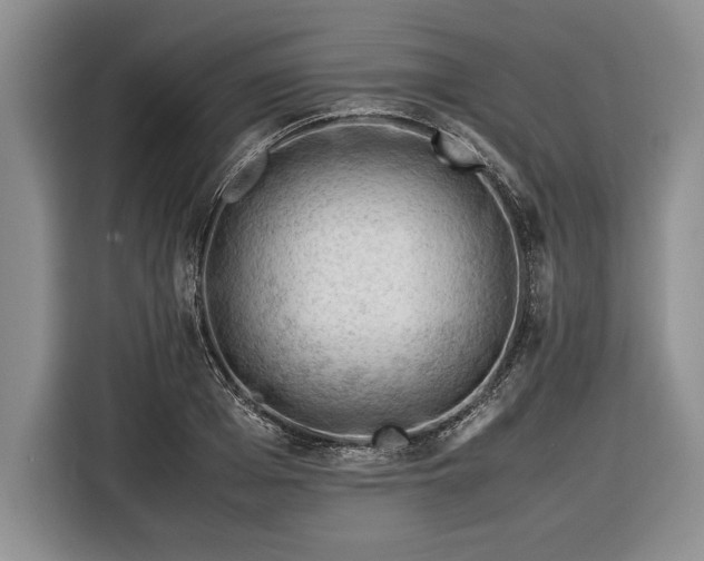 X0000116370985200912091234