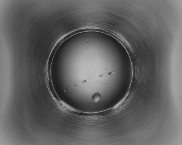 X0000116370988200912091234