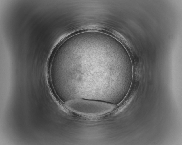 X0000116370989200912091234