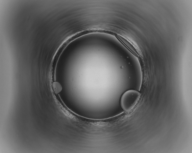 X0000116370992200912091234