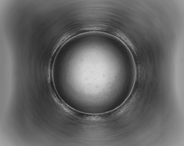 X0000116370994200912091234