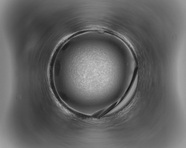 X0000116370995200912091234