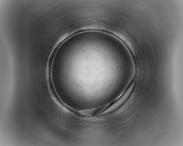 X0000116370998200912091234