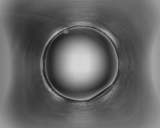 X0000116370999200912091234