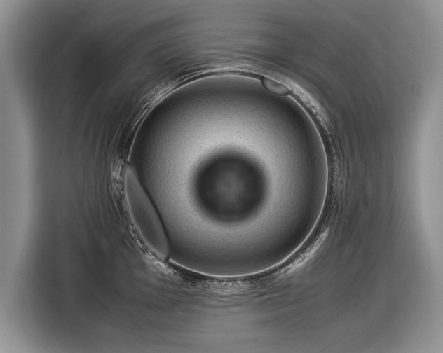 X0000116371001200912091234