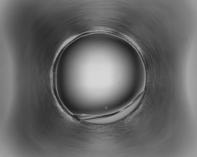 X0000116371003200912091234