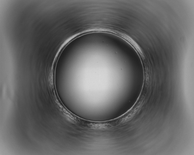 X0000116371004200912091234