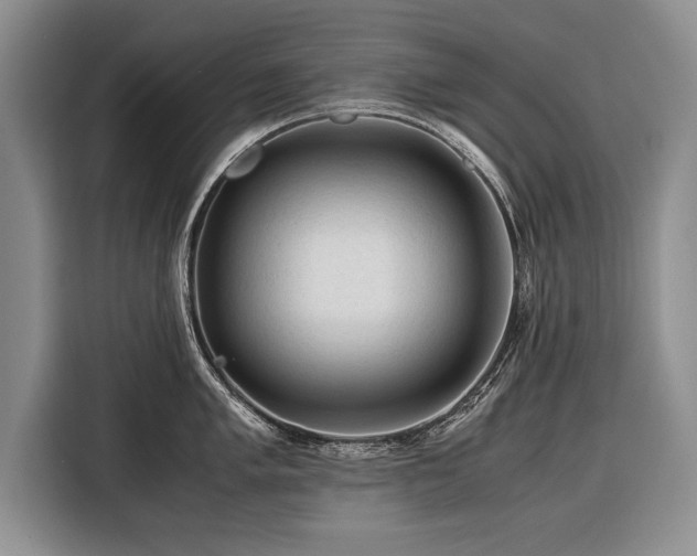 X0000116371005200912091234