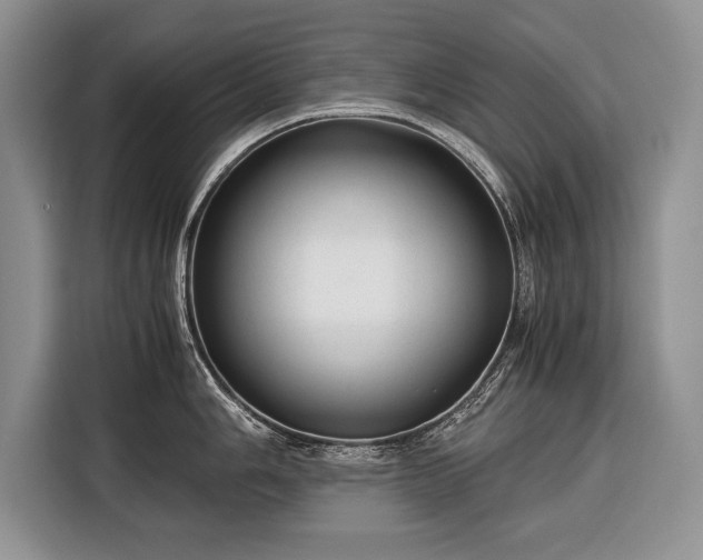 X0000116371006200912091234