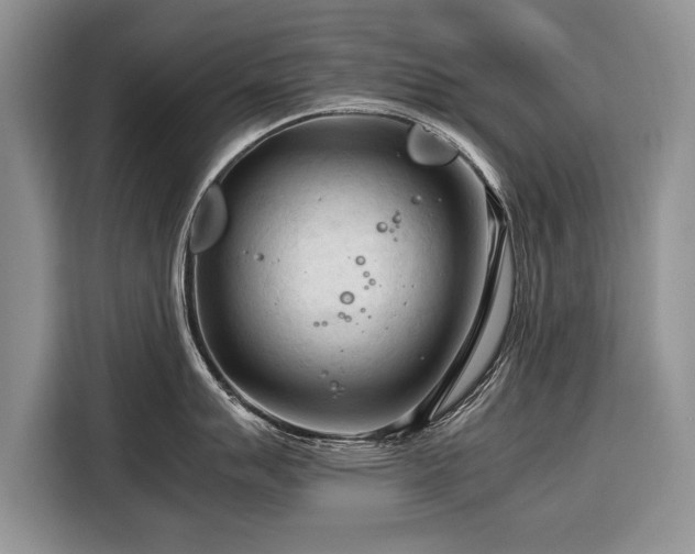 X0000116371007200912091234