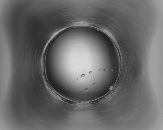 X0000116371008200912091234