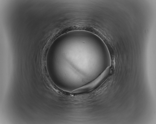 X0000116371009200912091233