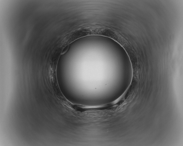 X0000116371010200912091233