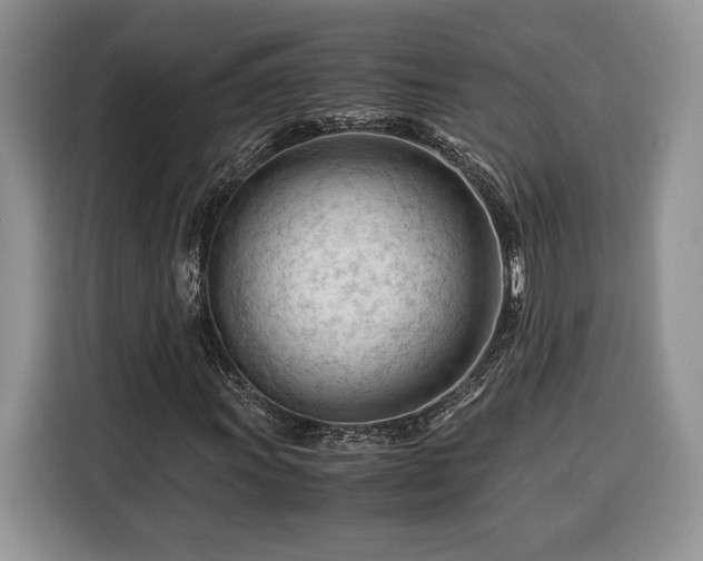 X0000116371011200912091233