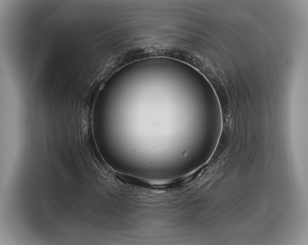X0000116371012200912091233