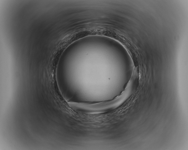 X0000116371013200912091233