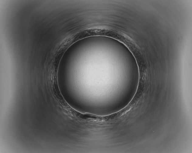 X0000116371014200912091233