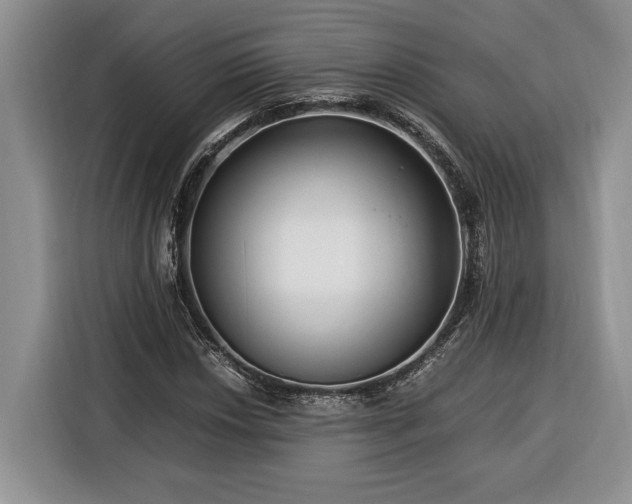 X0000116371018200912091233