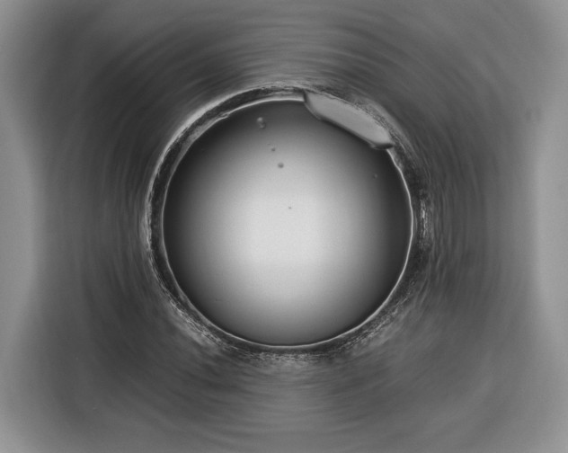 X0000116371020200912091233