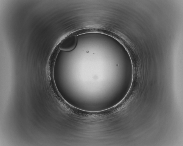 X0000116371022200912091233