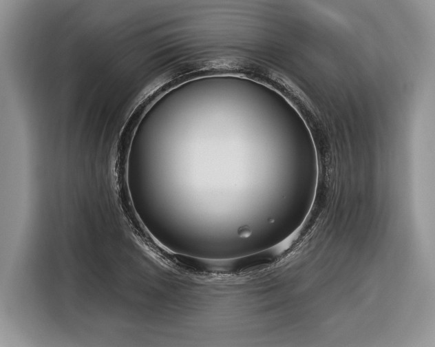 X0000116371026200912091233