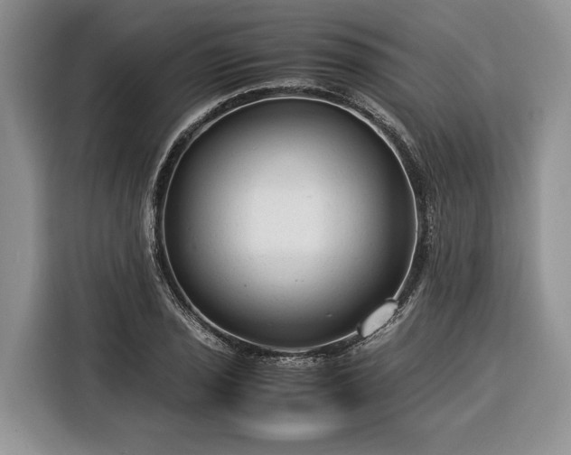 X0000116371029200912091233