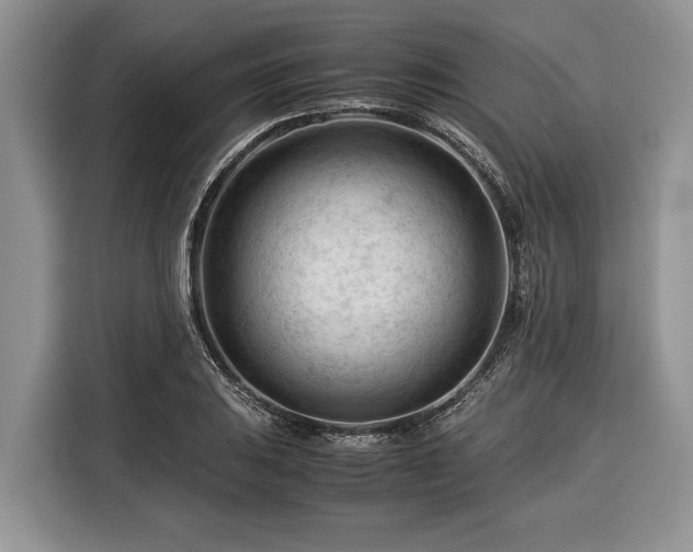 X0000116371031200912091233